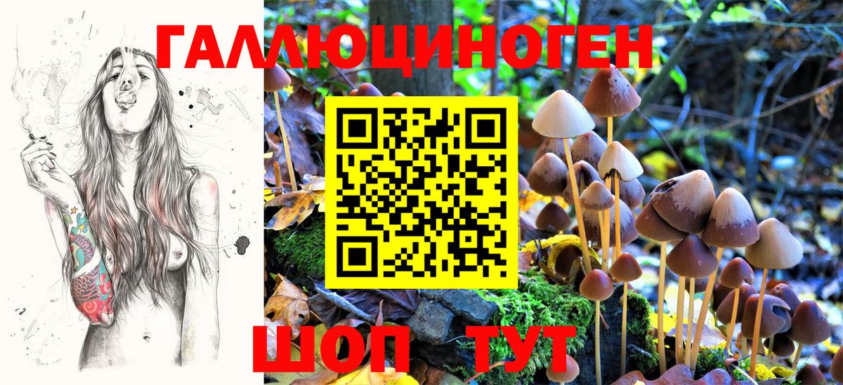 Псилоцибиновые грибы Magic Shrooms Сердобск
