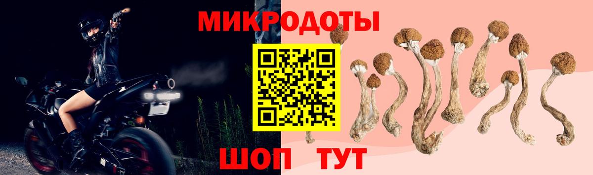 Псилоцибиновые грибы MAGIC MUSHROOMS  Вход с VPN  Сердобск  Галлюциногенные грибы Cubensis 